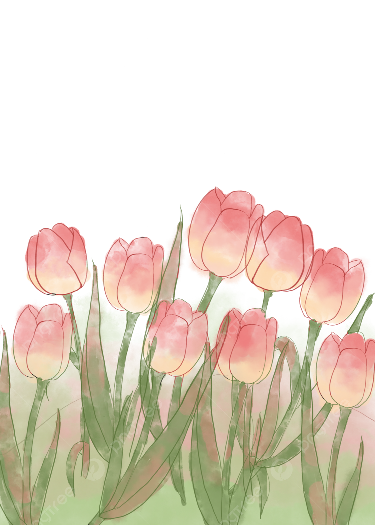 Hình ảnh Tranh Bó Hoa Tulip PNG , Bó Hoa, Bức Vẽ, Hoa Tulip ...