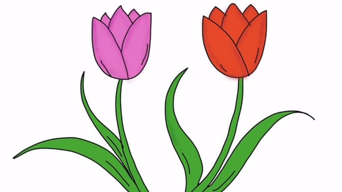 Bí quyết vẽ hoa tulip ấn tượng nhất và những mẫu tranh hoa ...